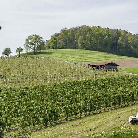 Ferienwohnung Lang Kressbronn am Bodensee Buitenkant foto