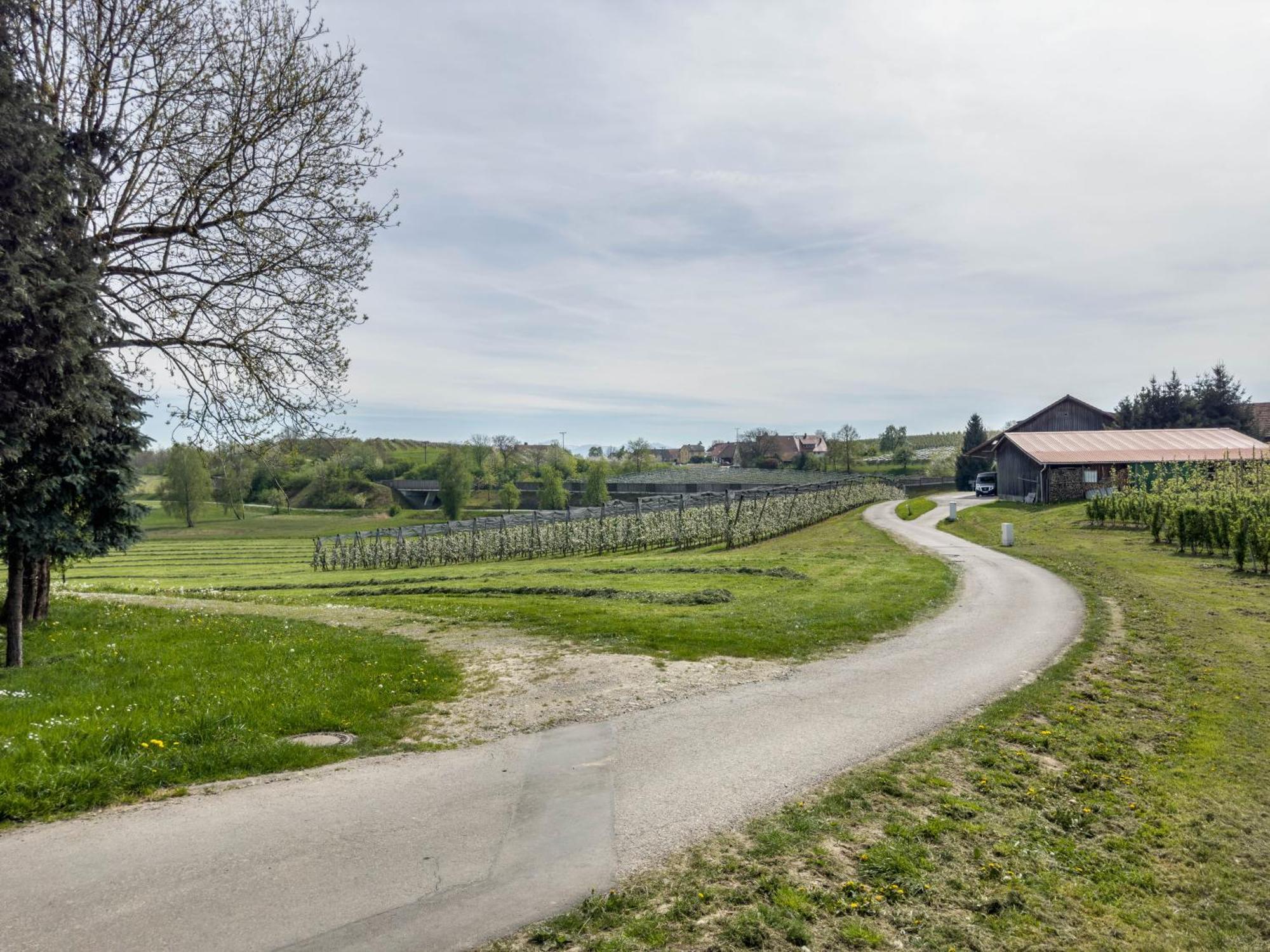 Ferienwohnung Lang Kressbronn am Bodensee Buitenkant foto