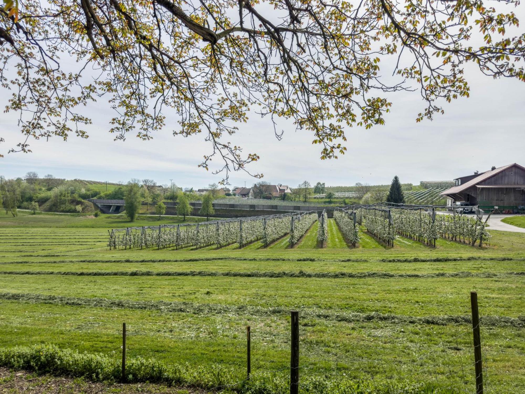 Ferienwohnung Lang Kressbronn am Bodensee Buitenkant foto